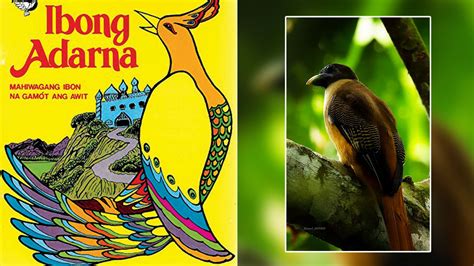  Ang Ibong Adarna -  Journey Through Enchanted Lands and Magical Creatures!